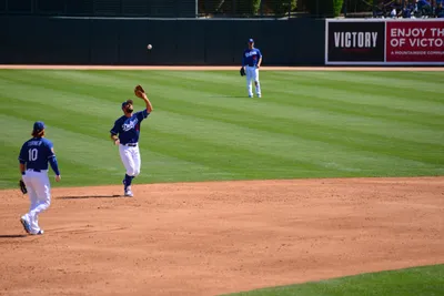 DSC_1583 (Large).JPG